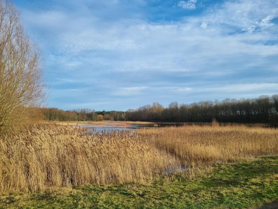 Luxe-Avontuur In Een Romantische Cabin In Het Bos Stekene Buitenkant foto